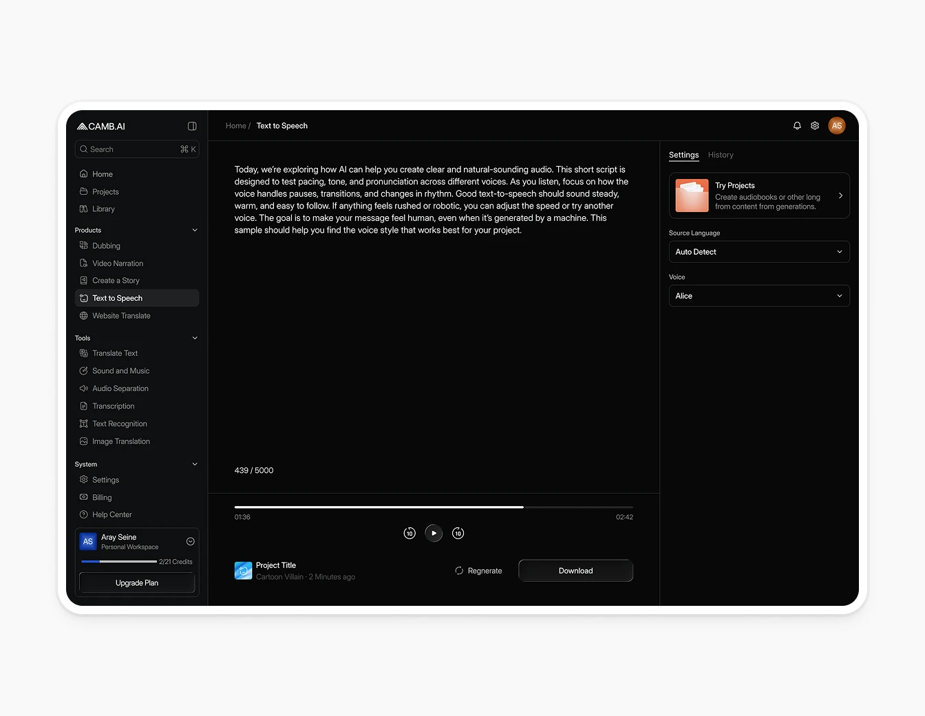 Camb.ai Text to Speech Editor Settings Panel