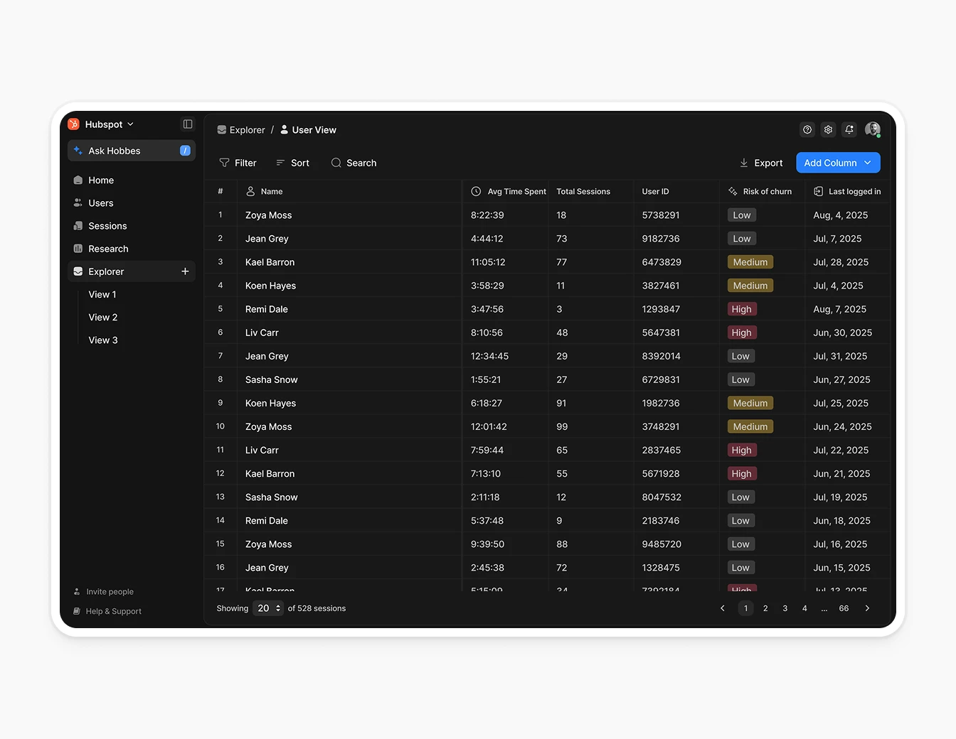 Hobbes Explorer User View Dark Data Table