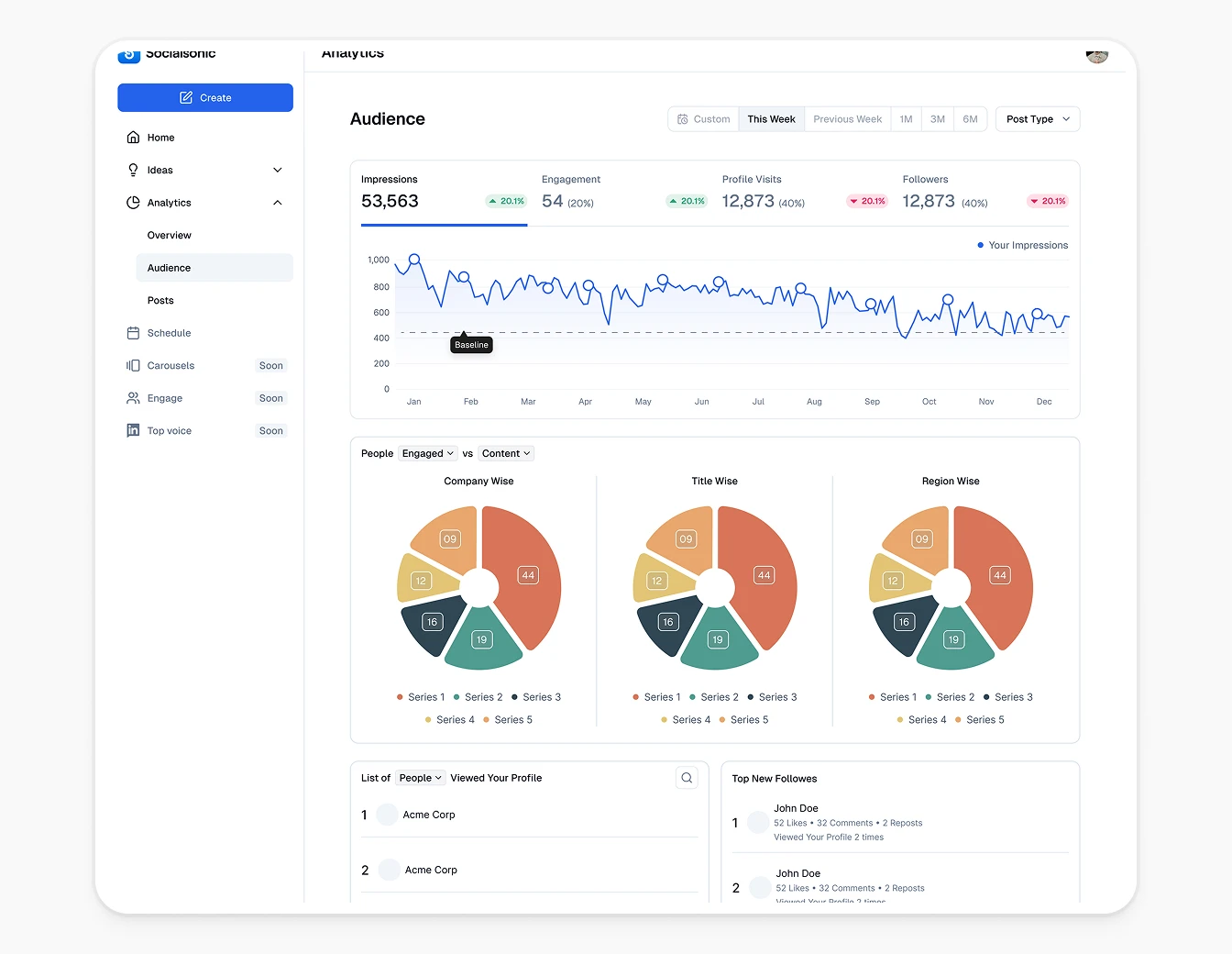 Socialsonic Audience Analytics Pie Charts