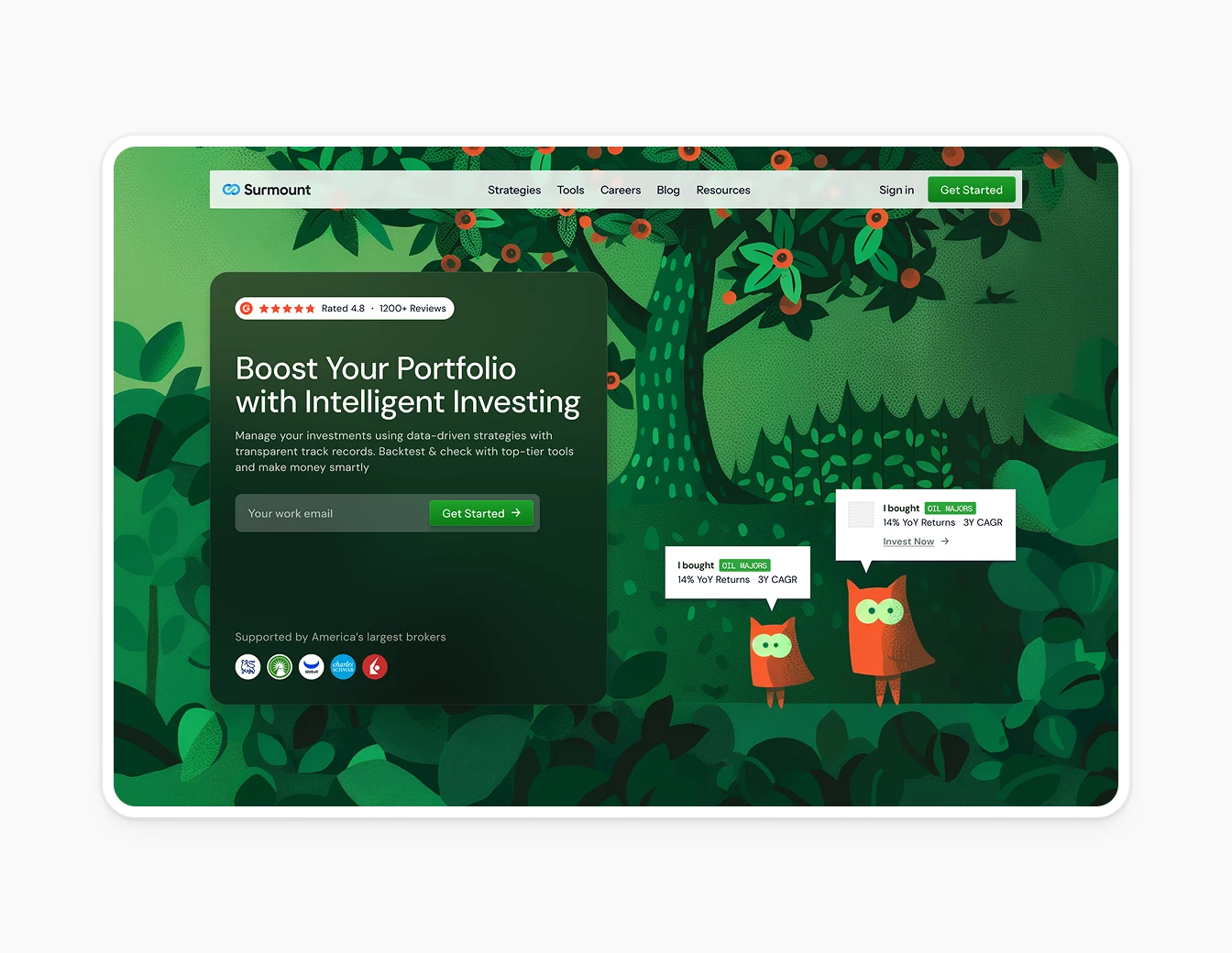 Surmount Hero Green Forest Owl Illustration